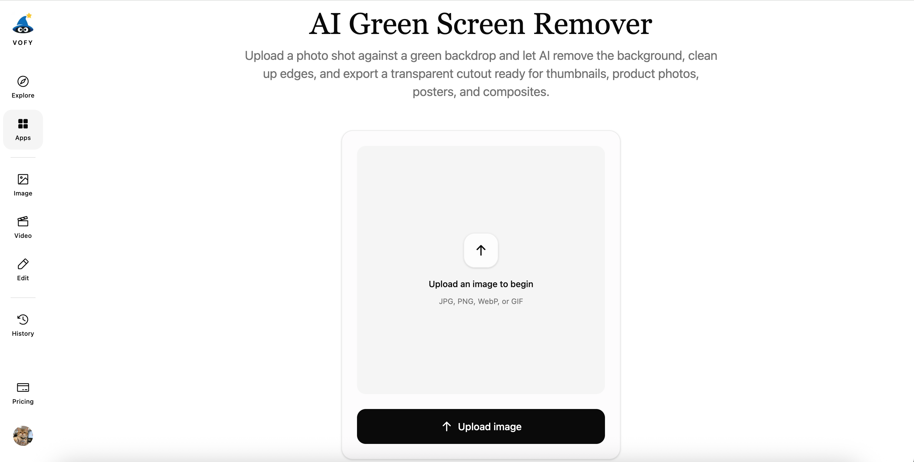 AI Green Screen Remover tool interface